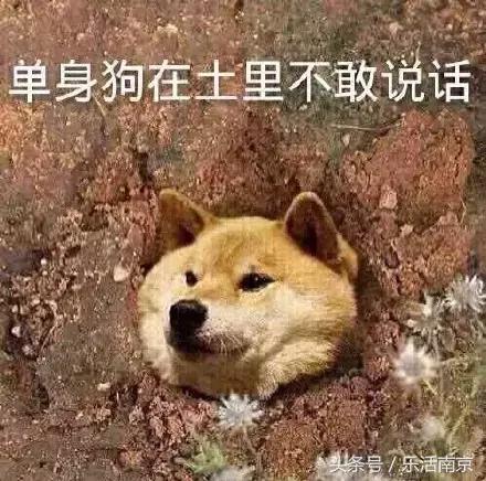 南京人均家庭存款,南京人均住户存款