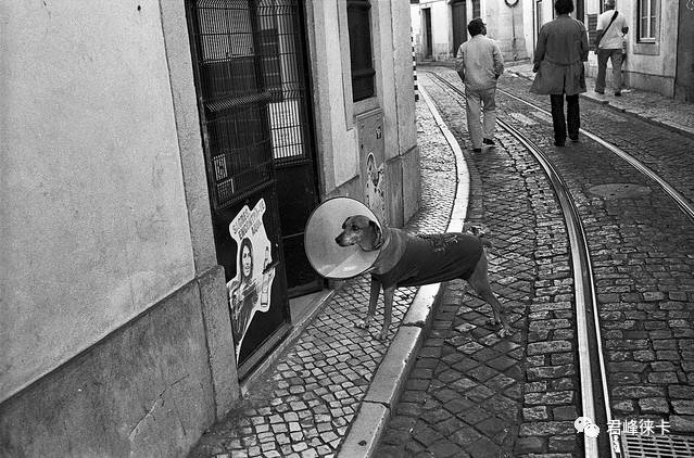 最油润的徕卡镜头,徕卡最具德味的镜头