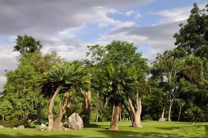 泼水节后，西双版纳该怎么玩，附防高温关注事项