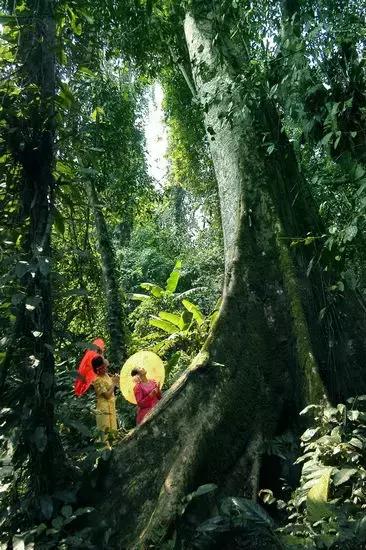 泼水节后，西双版纳该怎么玩，附防高温关注事项