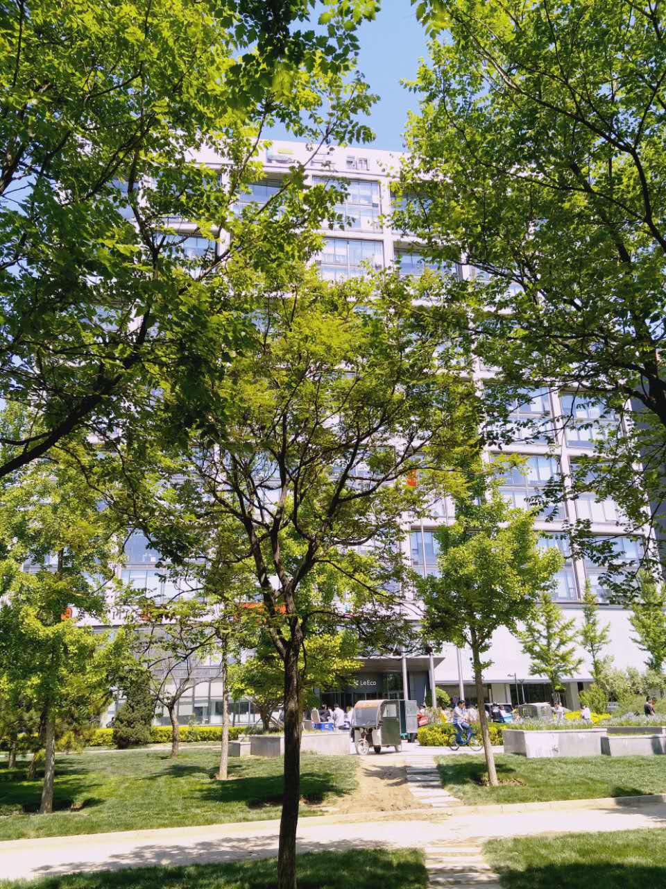 高频的舆论漩涡,乐视电视对贾跃亭发声