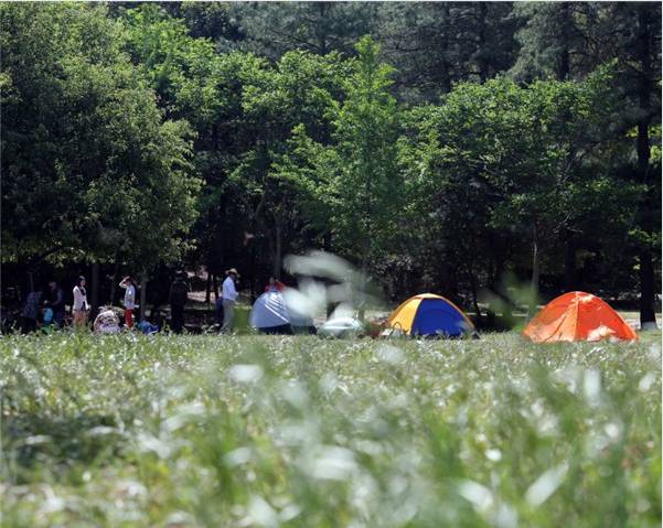 昆明踏青烧烤最佳攻略,昆明可以户外烧烤地方推荐