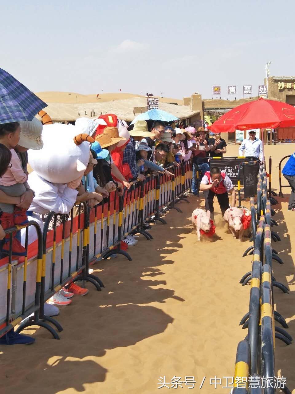 五一中卫旅游免费,中卫五一活动
