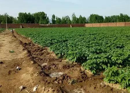 2016-2018年农产品市场需求,2024农产品市场数据分析报告