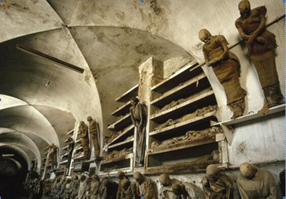 紫霜,紫霜逆水寒