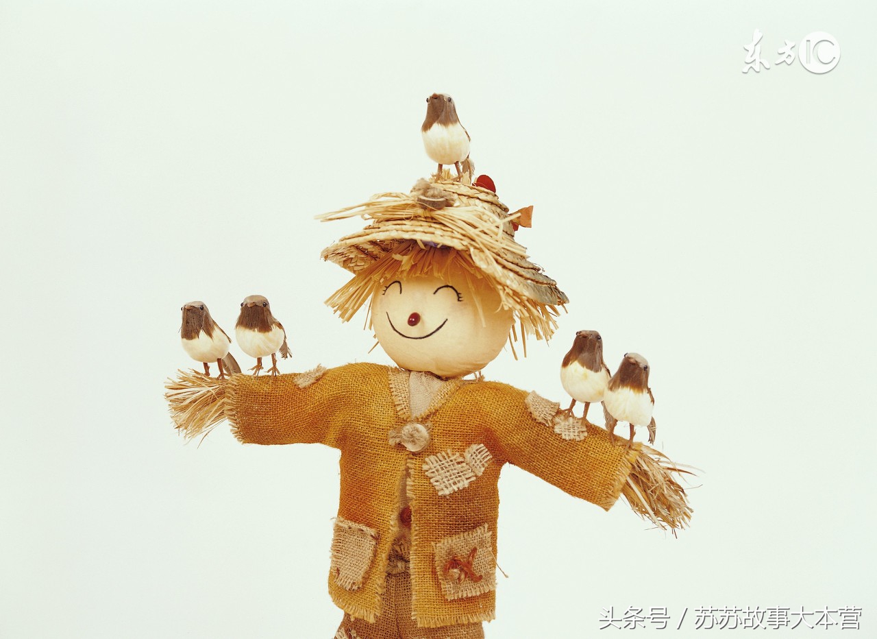 故事：村民犯了口舌菩萨，要米来解灾，头上被麻雀拉屎，遇上咋办