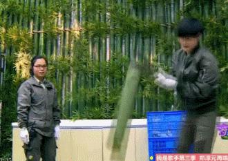 劳动节著名的人物,劳动节谁最光荣