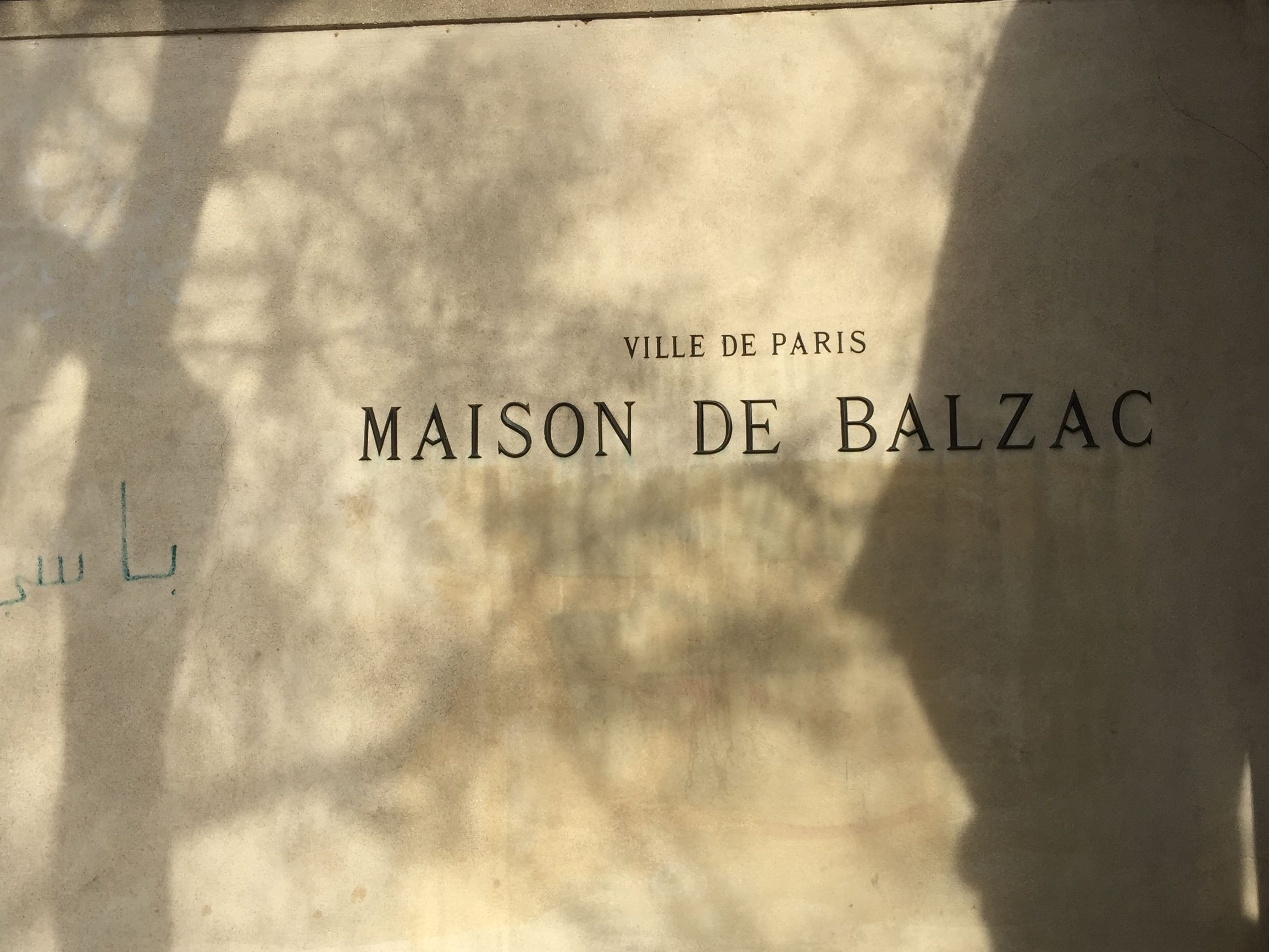 巴尔扎克的黄玫瑰正在热烈开放