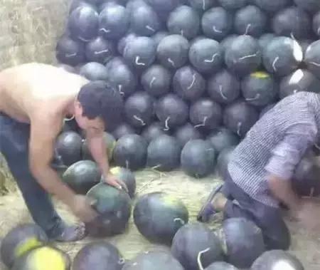 2016-2018年农产品市场需求,2024农产品市场数据分析报告