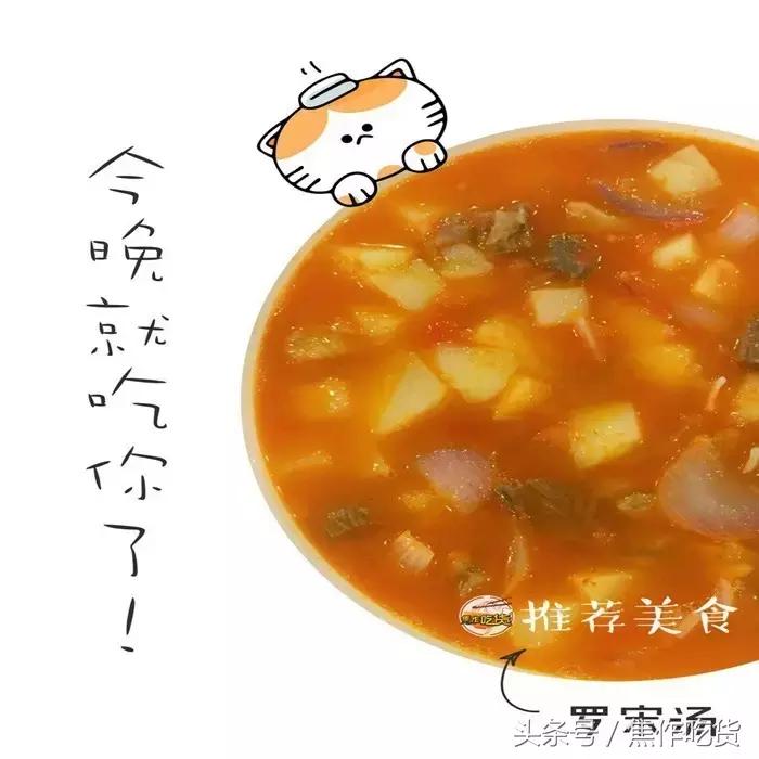 焦作推荐猫咖,焦作新区猫咖