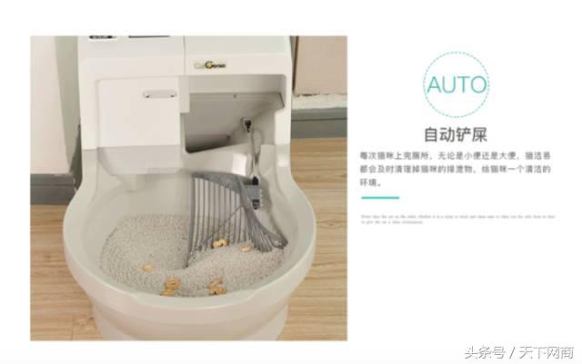 谁买了5000元的猫厕所？她们将猫养得比自己还精细