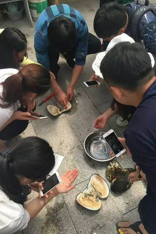 珠宝人还是美食家看看时下流行的那些好玩儿好吃的珠宝游学吧