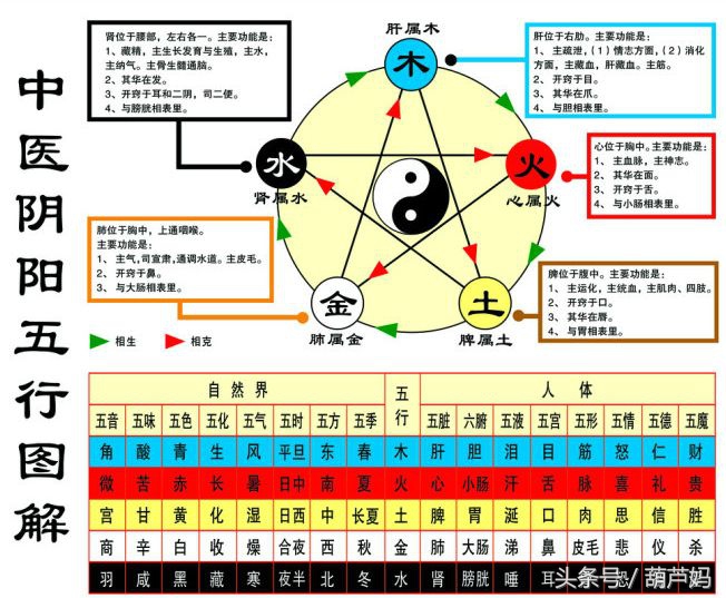 小宝宝鼻梁发青怎么回事,孩子鼻梁发青是吓到了吗