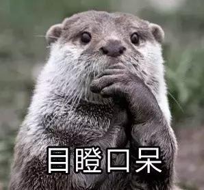 哥哥太爱我了怎么办在线看,哥哥太爱我了怎么办免费