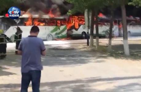 杨柳絮有哪些缺点不足及危害,杨柳絮是怎么造成的