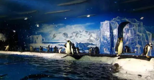 世界最美的四大海,世界最美十大海排名