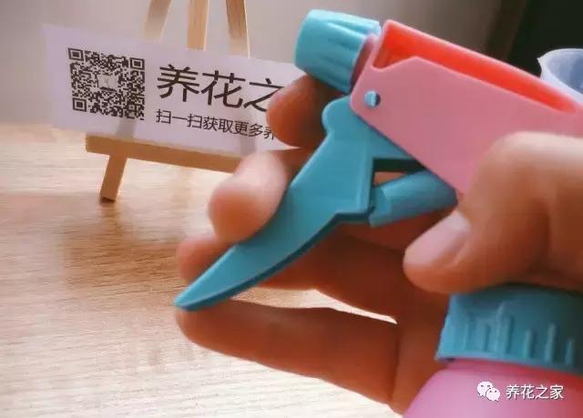 花盆里有蚂蚁怎么办蚂蚁最怕啥,花盆里有蚯蚓好不好