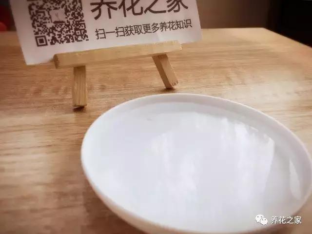 花盆里有蚂蚁怎么办蚂蚁最怕啥,花盆里有蚯蚓好不好