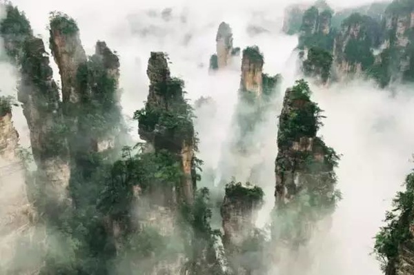 张家界为什么导游多,张家界自由行导游坑不坑