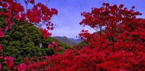 秋天南阳露营地推荐,五一南阳适合自带帐篷的露营地