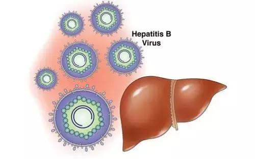 乙肝治疗目前的现状,乙肝治疗的终极目标