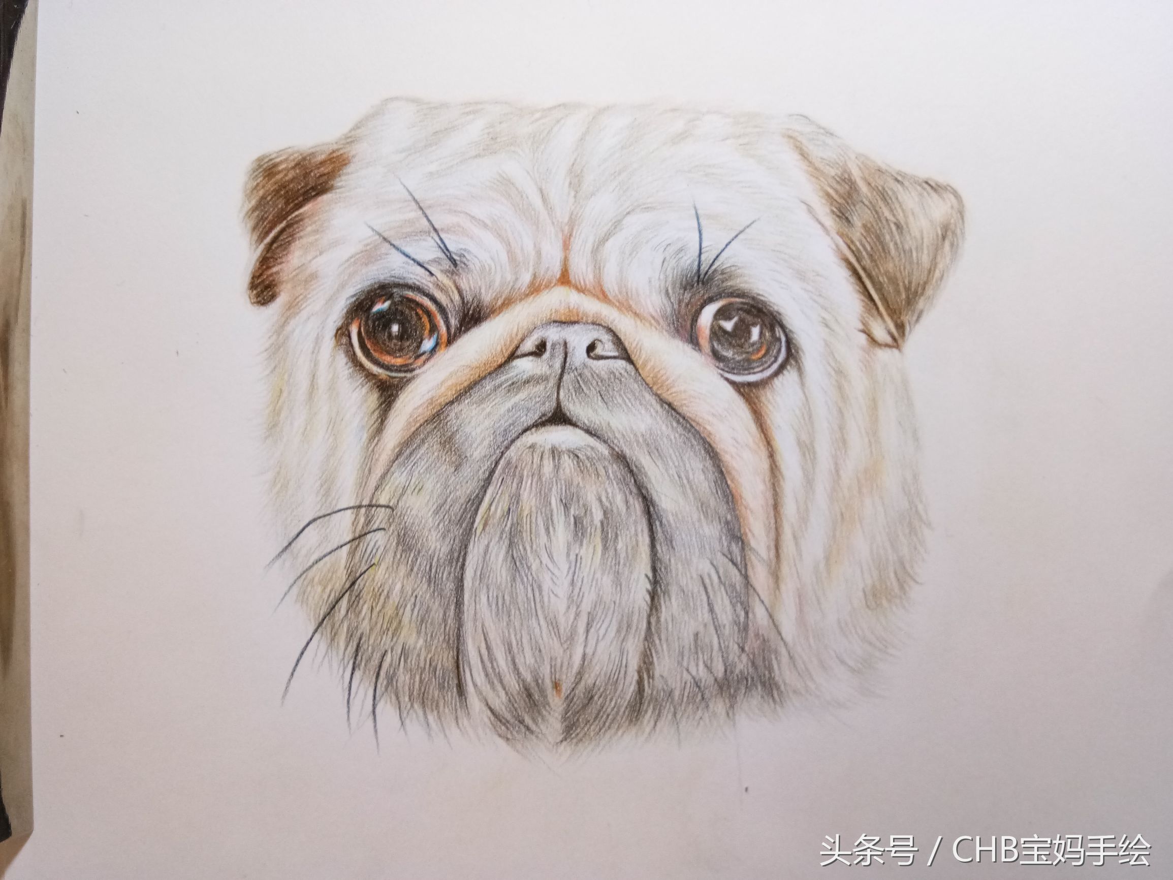 零基础学画漫画萌少女彩铅,零基础学铅笔画入门小狗