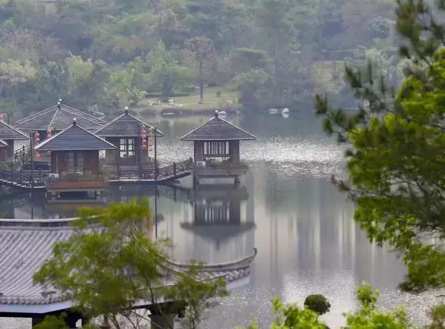 核心价值观57期,核心价值观之爱国敬业诚信友善