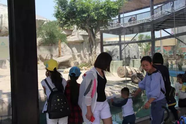 厦门灵玲国际马戏城大不大,五一厦门灵玲国际马戏