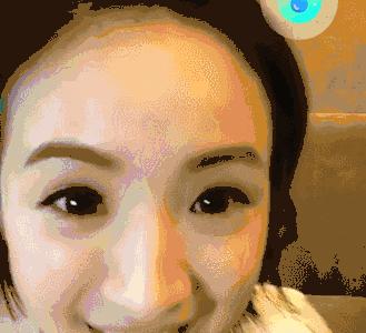 绉戝绉嶈崏,绉戝鎶よ偆鐩茬洰绉嶈崏