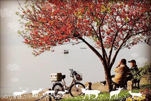 不怕死怕得病,一个人什么都不怕就是怕得病