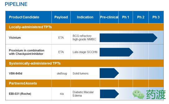 头颈鳞状细胞癌治愈率,头颈癌有哪些知识