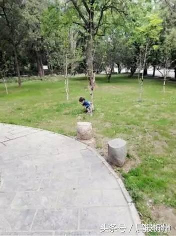 创文明城市特别策划：“我眼中最美春天”随后拍作品7