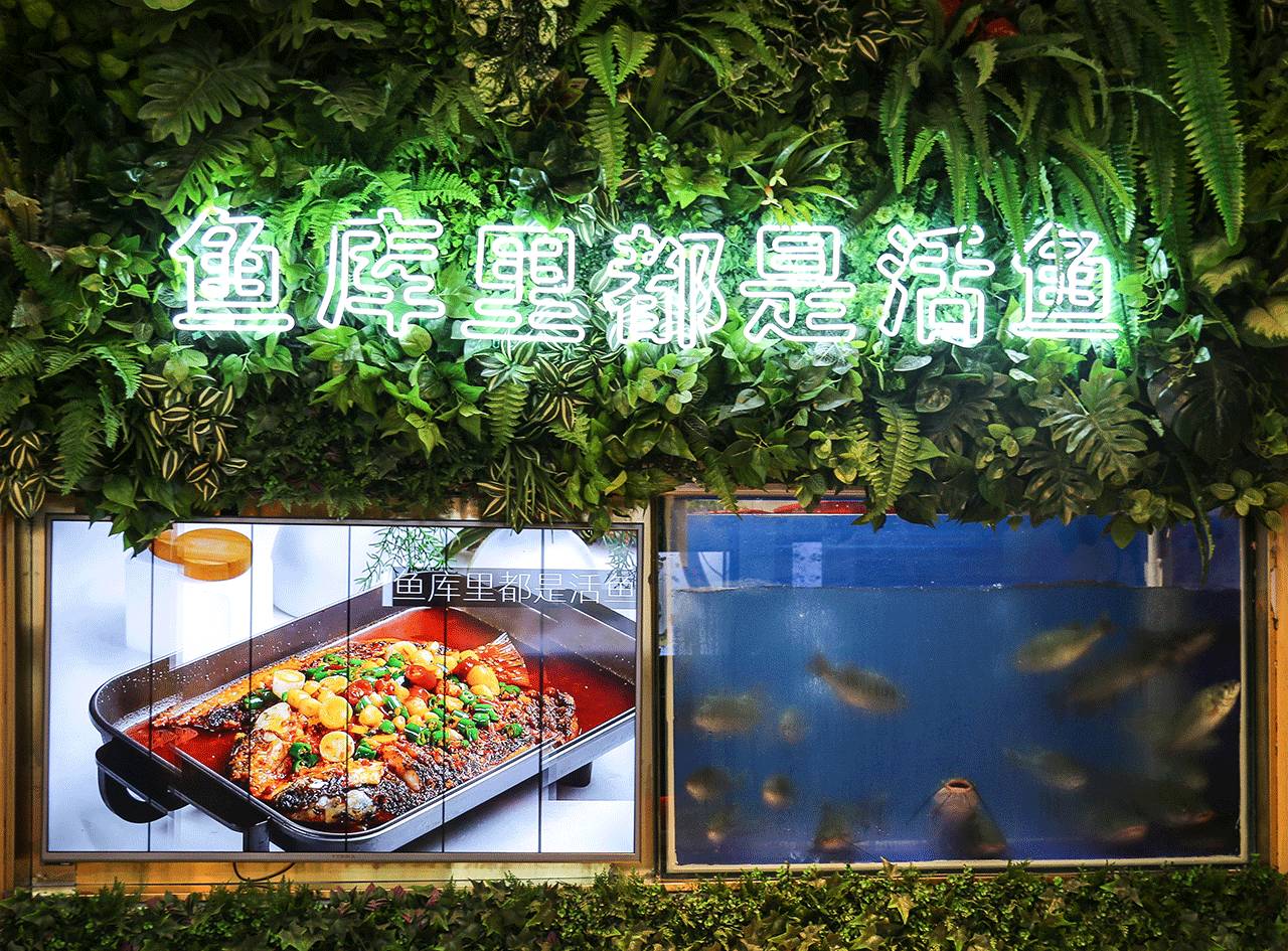 深圳一家有意思的烤鱼店,深圳第一家脆皮烤鱼