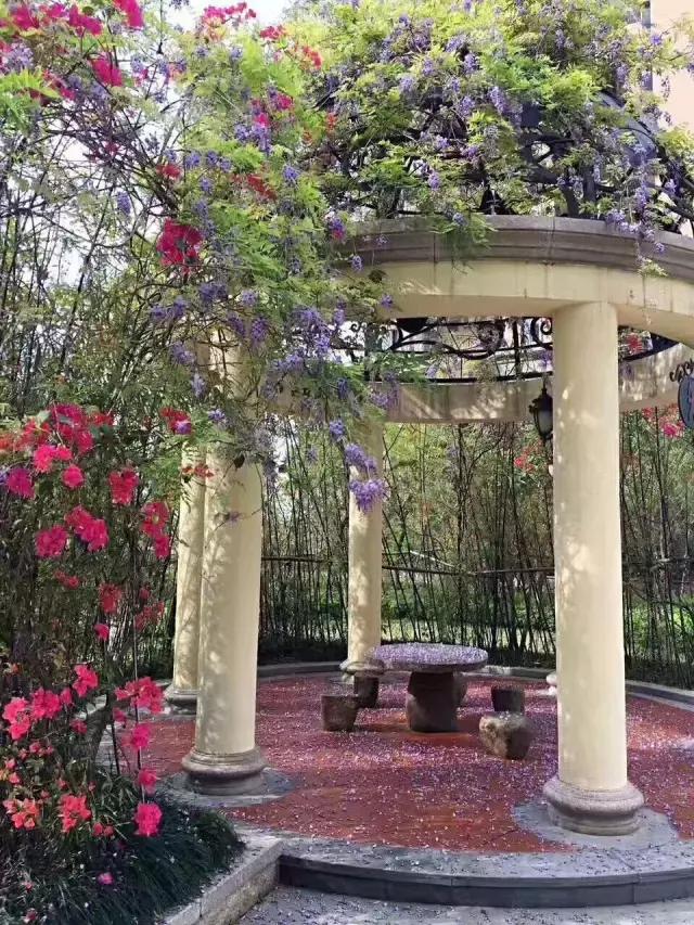 核心价值观57期,核心价值观之爱国敬业诚信友善