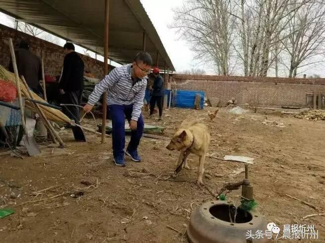 创文明城市特别策划：“我眼中最美春天”随后拍作品7