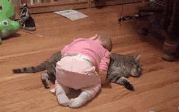 狗狗对人的爱，是缓解焦虑和抑郁症的良药，养狗好处这么多