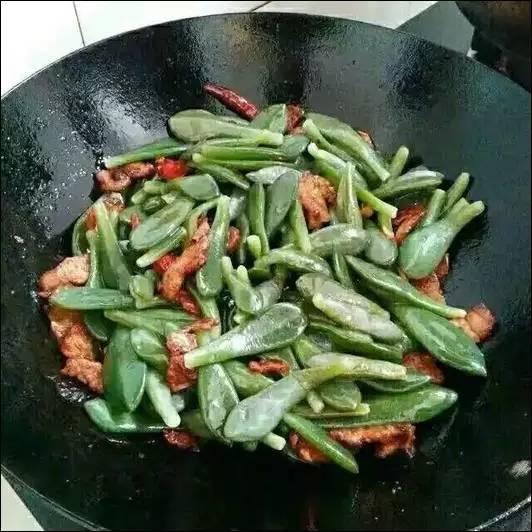 逆天了中国吃货！多肉植物炒肉吃！