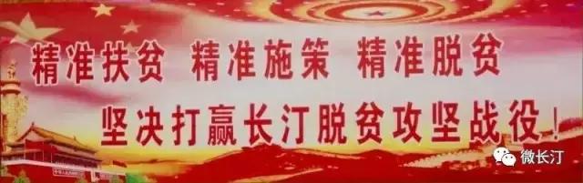 龙岩市纪委监委通报长汀,中纪委通报典型案例长汀