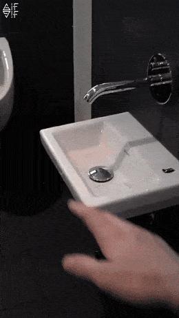 吃草能减肥的话,减肥从吃草开始