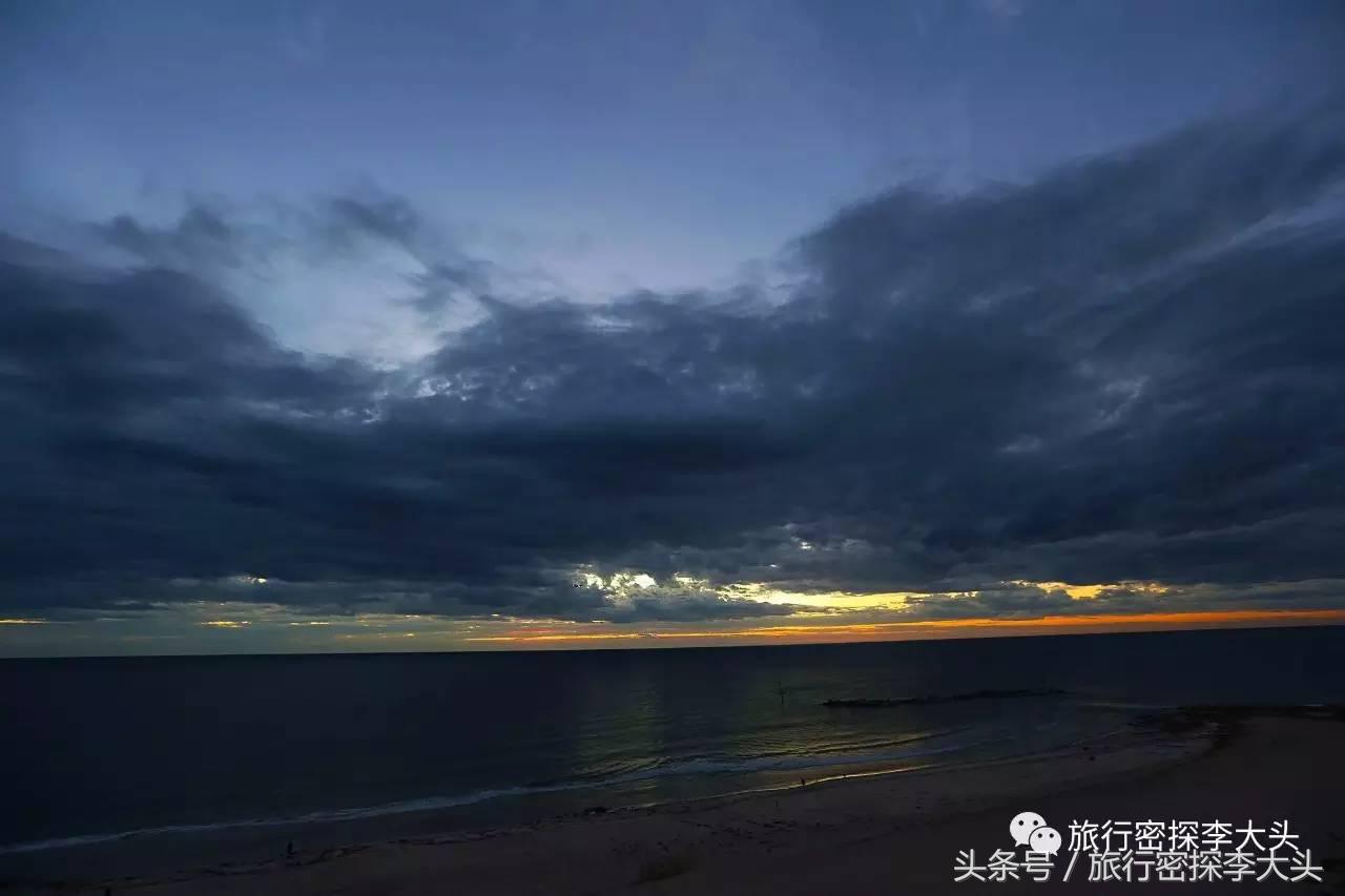 中国哪里可以抱考拉,全球哪里可以抱考拉