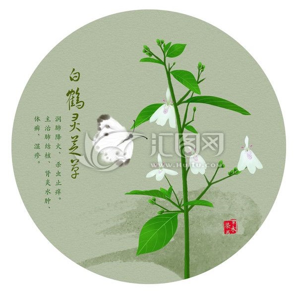 你肯定不知道中药还可以这么美