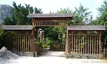 杨梅园采摘柳州,2024年柳州杨梅采摘攻略