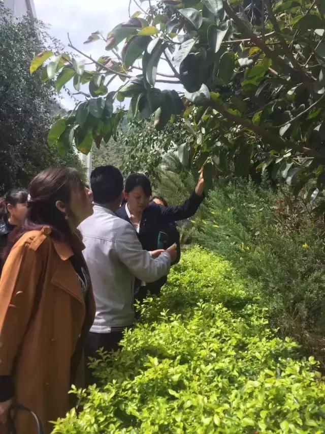 大理技师学院主要学哪些,大理技师学院2016年