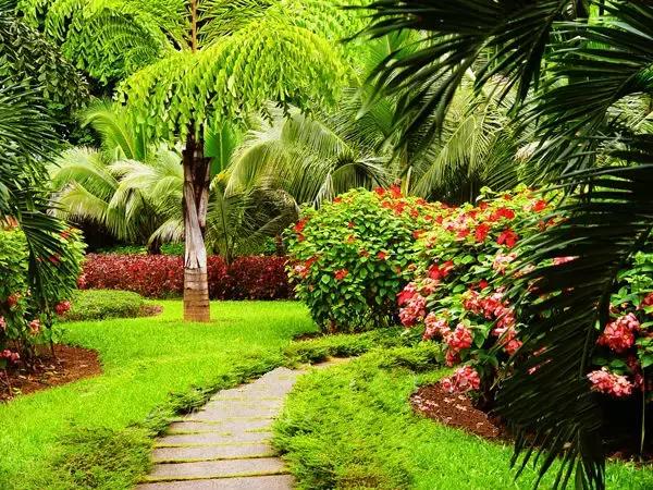 泼水节后，西双版纳该怎么玩，附防高温关注事项