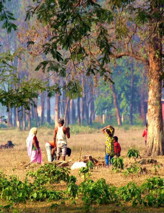 心嫁徐嘉良音乐,嫁尼泊尔医生老公