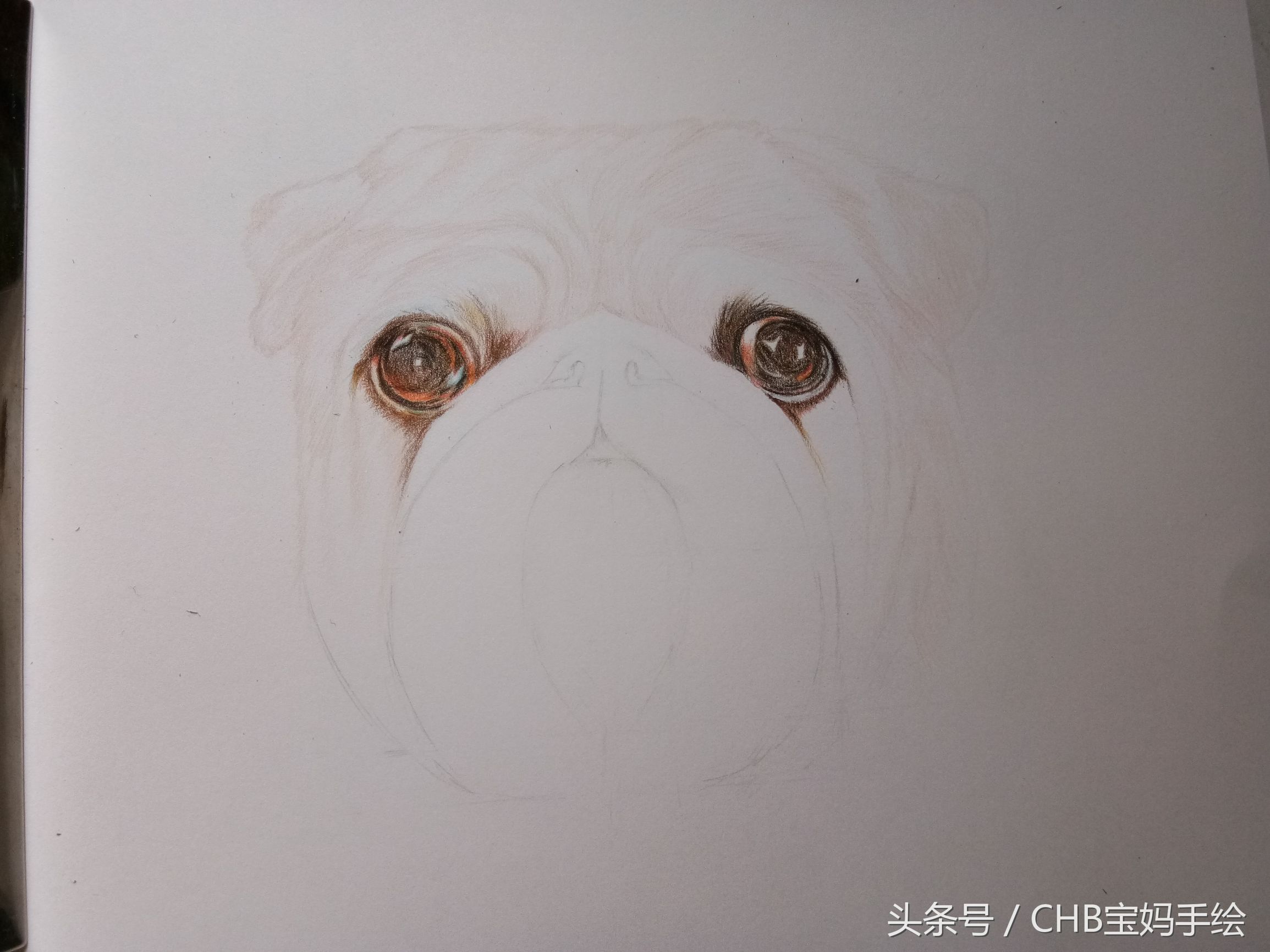 零基础学画漫画萌少女彩铅,零基础学铅笔画入门小狗