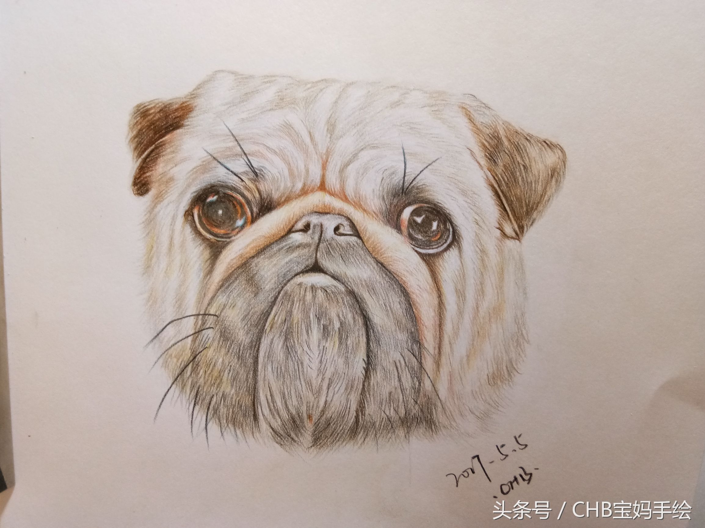 零基础学画漫画萌少女彩铅,零基础学铅笔画入门小狗