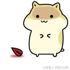 假国外进口的奶粉,中国宝宝假奶粉