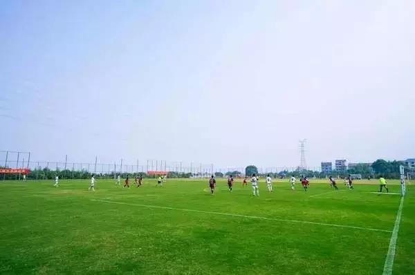 杭州在建专业足球场最新消息,在家门口建球场