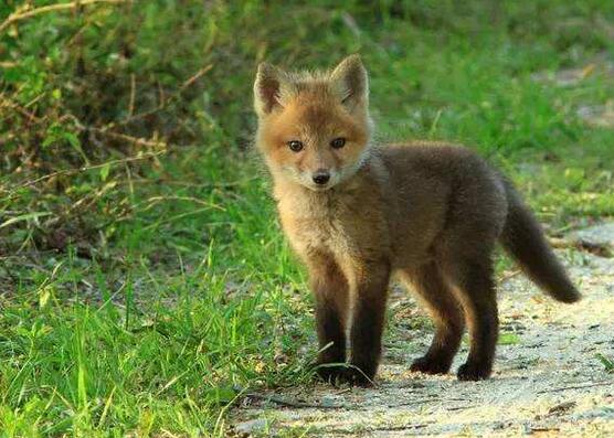 民间传说找媳妇的故事全集,民间故事找媳妇第四集内容